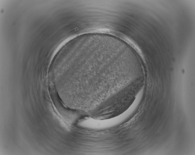 X0000084051332200703022205