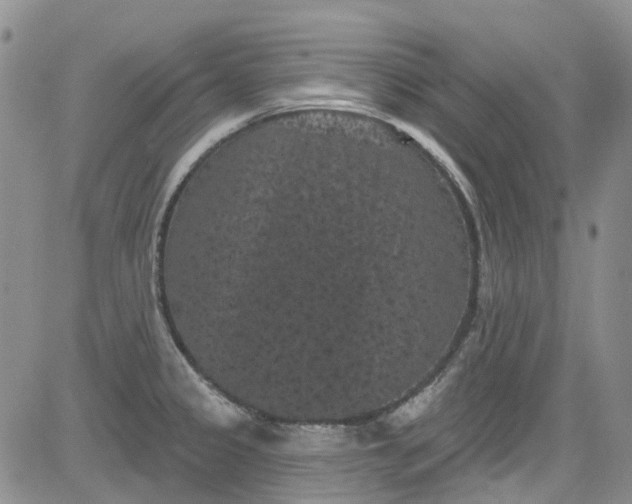 X0000084051333200703022205