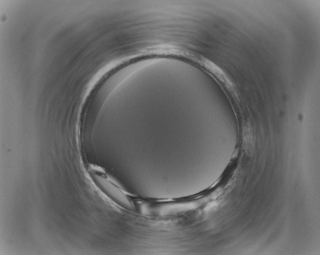 X0000084051334200703022205