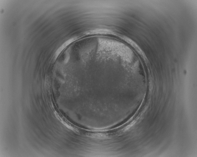 X0000084051337200703022205