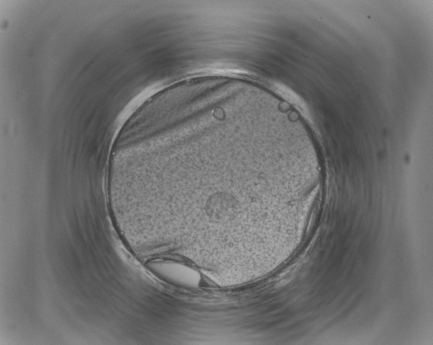 X0000084051338200703022205