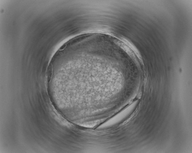 X0000084051340200703022205