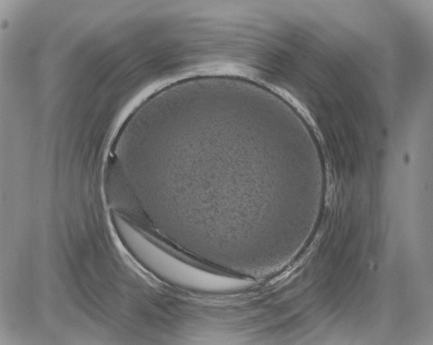 X0000084051342200703022205