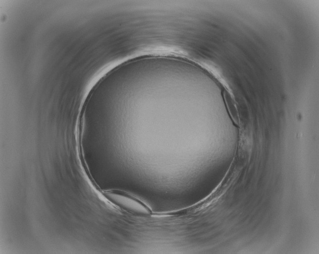 X0000084051343200703022205