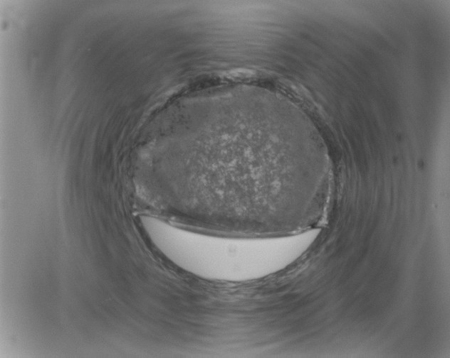 X0000084051345200703022204