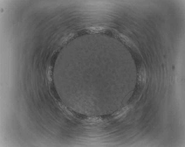 X0000084051346200703022204