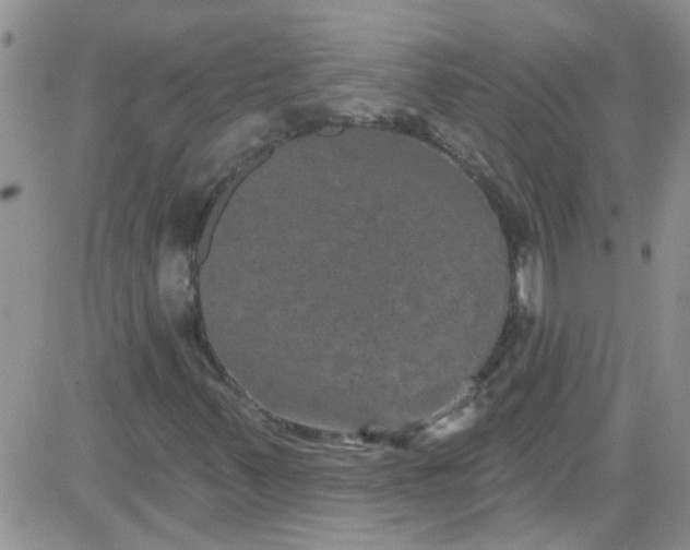 X0000084051347200703022204