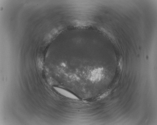 X0000084051348200703022204