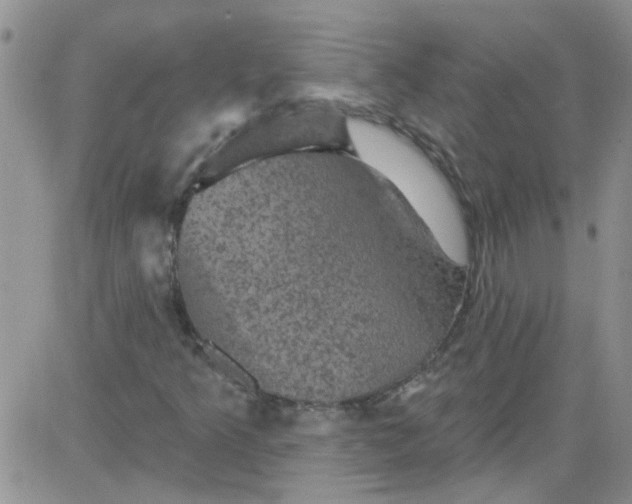 X0000084051349200703022204