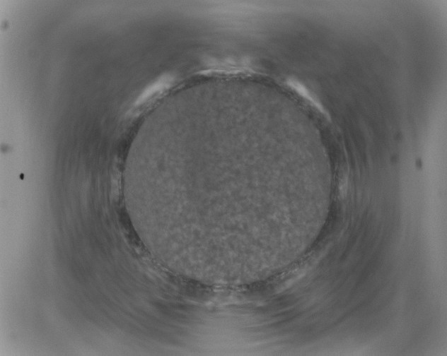 X0000084051350200703022204