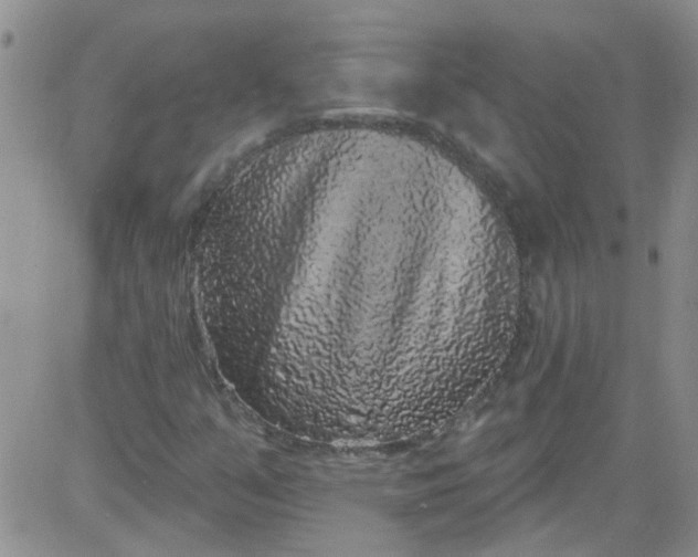 X0000084051351200703022204