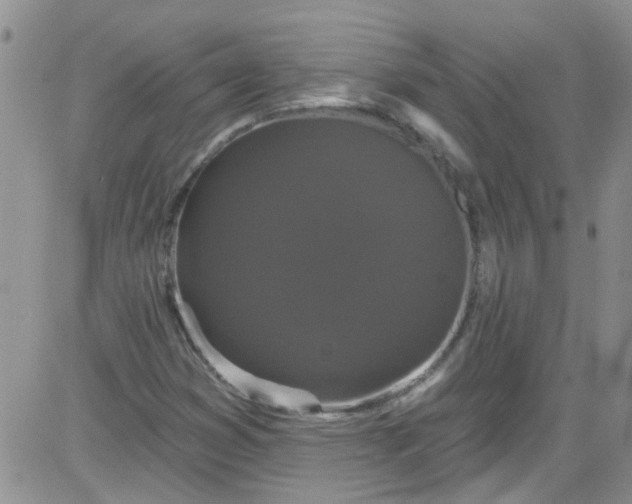 X0000084051353200703022204