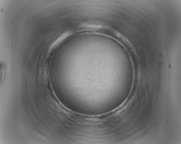 X0000084051354200703022204