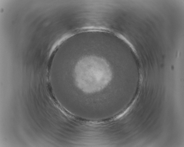 X0000084051357200703022204