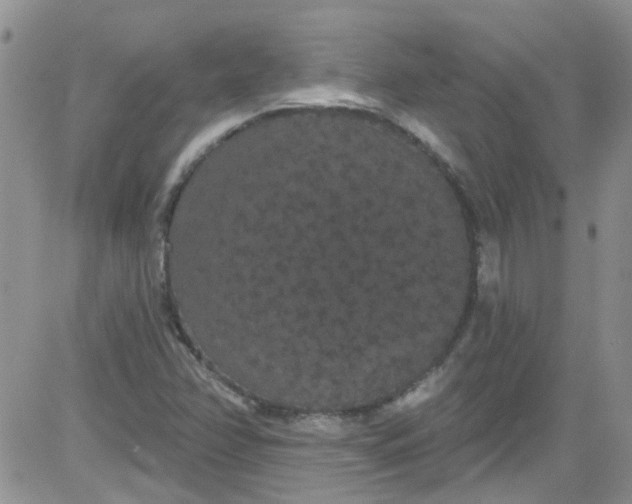 X0000084051358200703022204