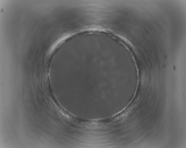 X0000084051359200703022204