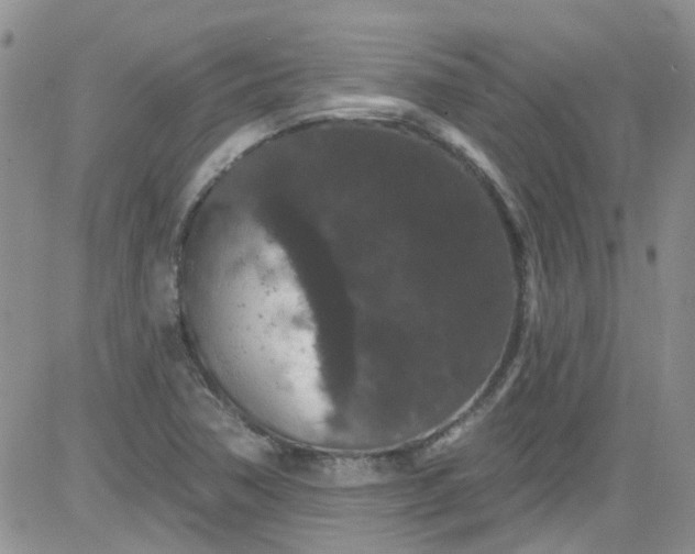 X0000084051362200703022204