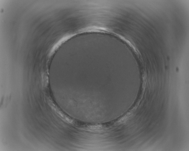 X0000084051363200703022204