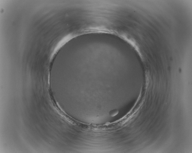 X0000084051365200703022204