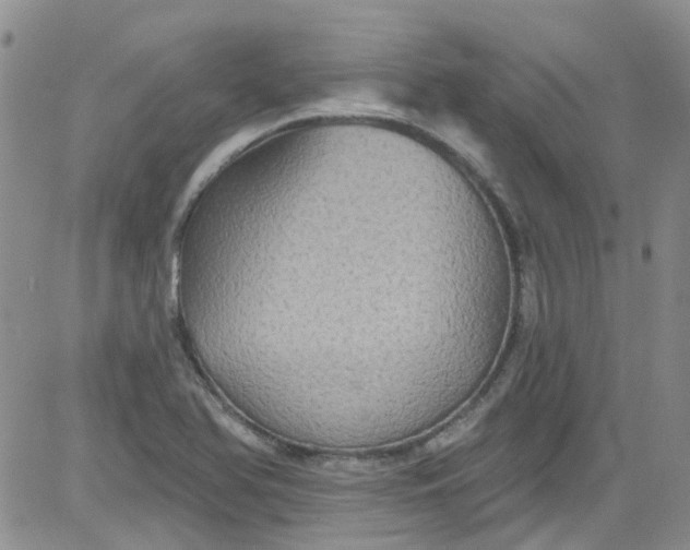 X0000084051366200703022204