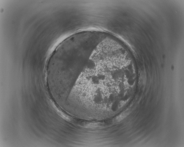 X0000084051367200703022204