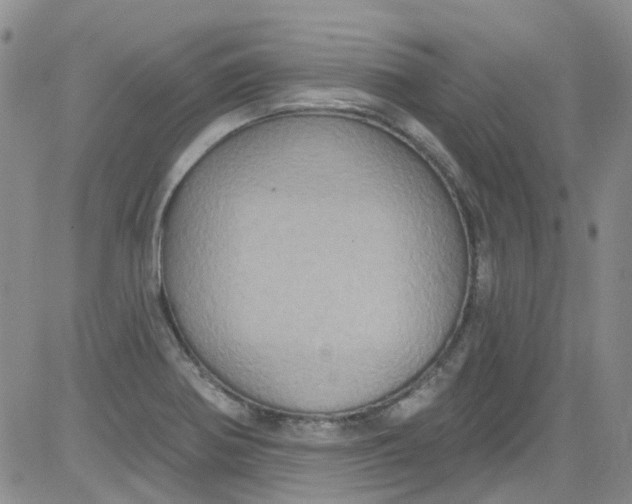 X0000084051370200703022204