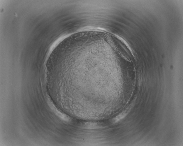 X0000084051371200703022204