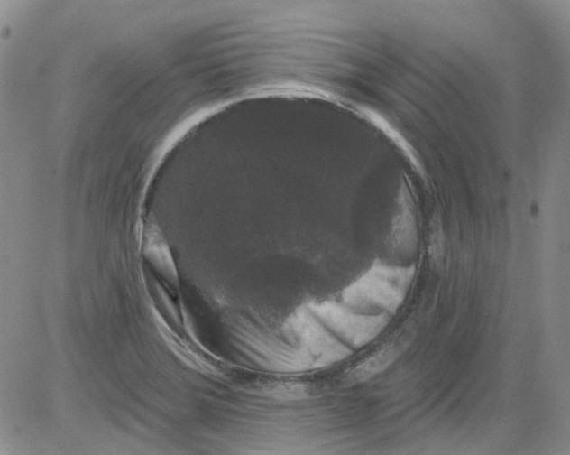 X0000084051372200703022204