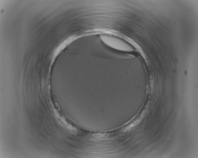 X0000084051373200703022204