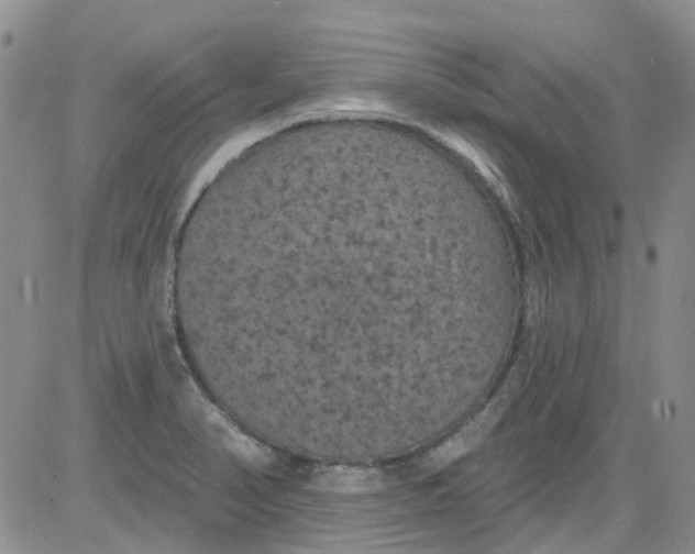 X0000084051374200703022204