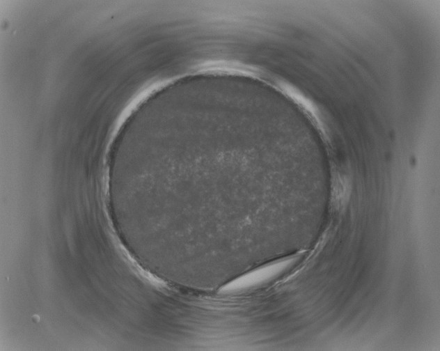 X0000084051376200703022204