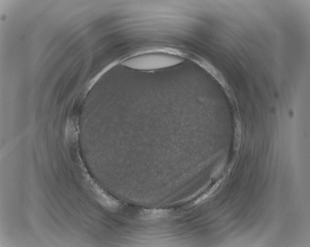 X0000084051377200703022204