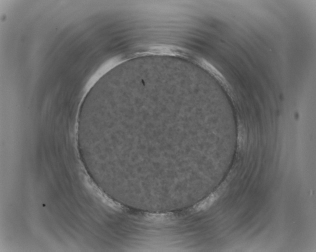 X0000084051378200703022204