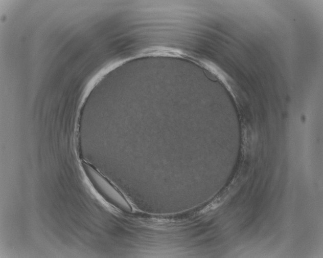 X0000084051379200703022204