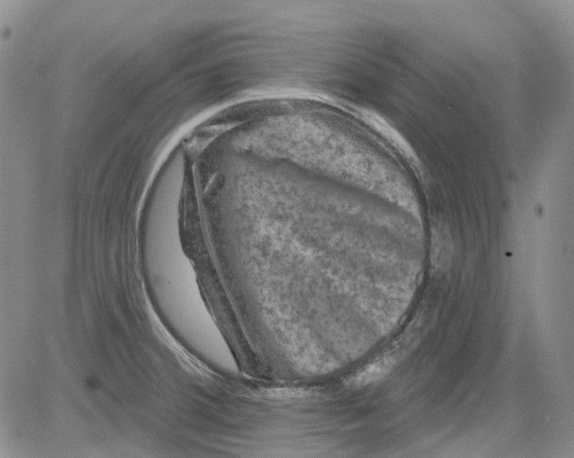 X0000084051380200703022204