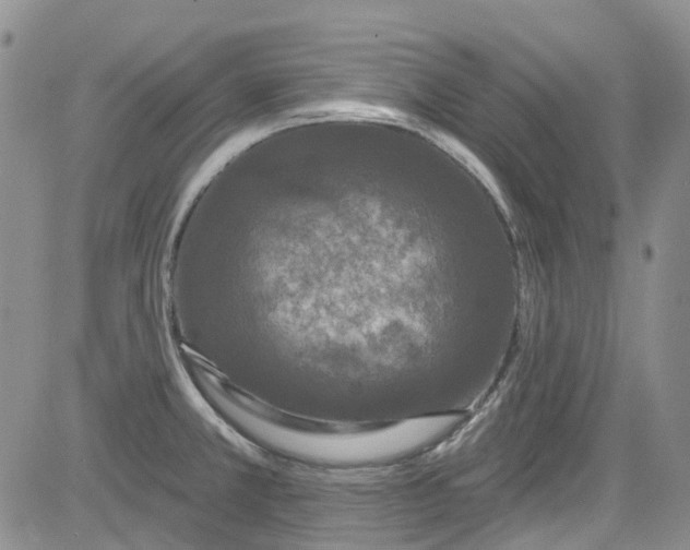 X0000084051381200703022203