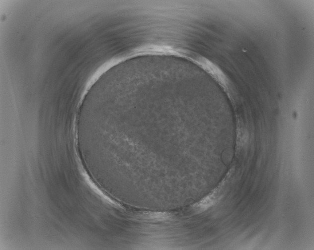 X0000084051382200703022203