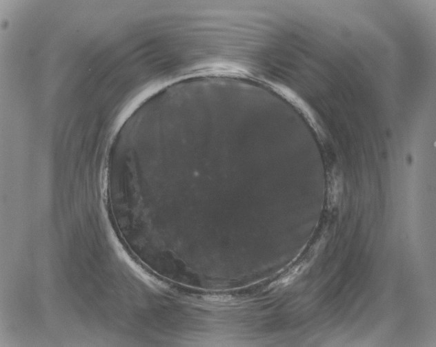 X0000084051383200703022203