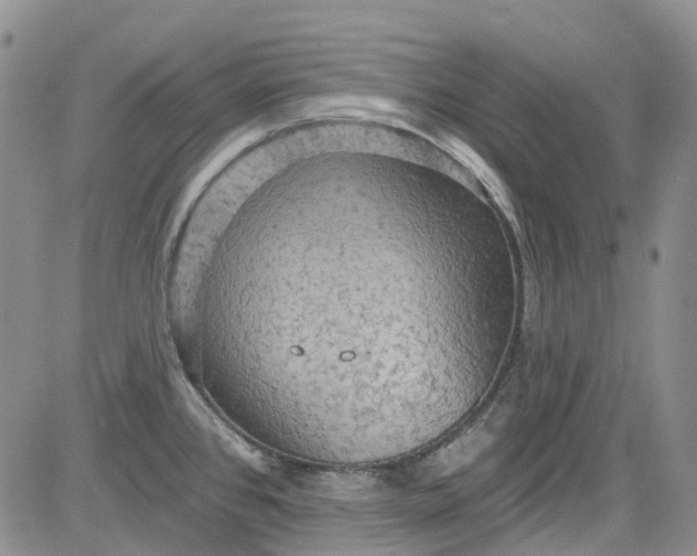 X0000084051384200703022203