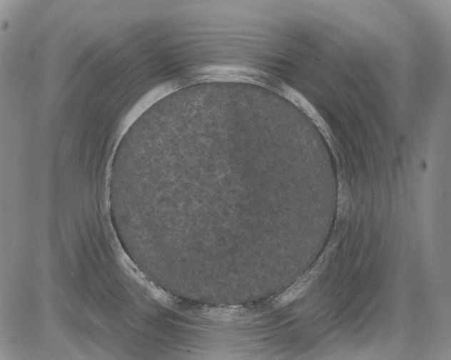 X0000084051386200703022203