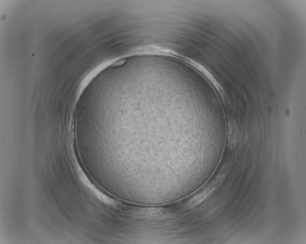 X0000084051387200703022203