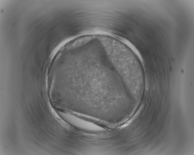 X0000084051388200703022203