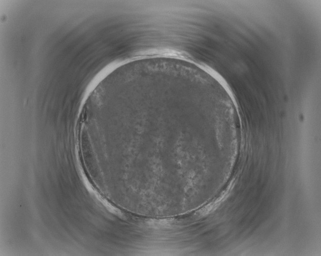 X0000084051389200703022203