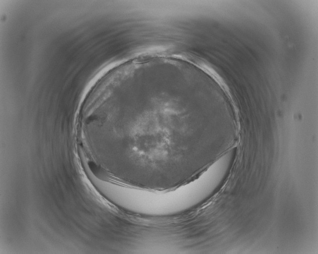 X0000084051392200703022203