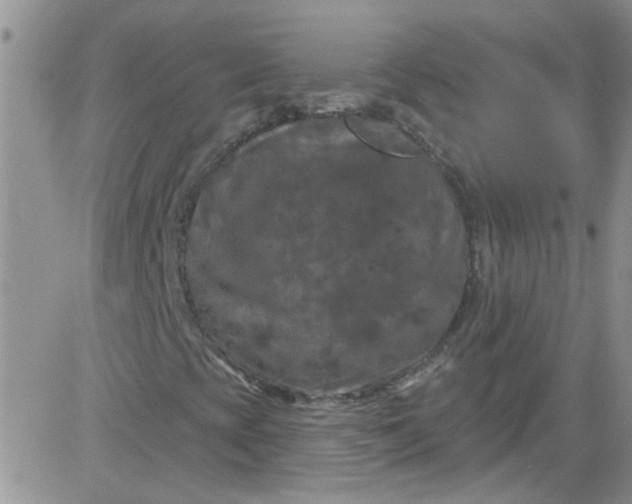 X0000084051393200703022202