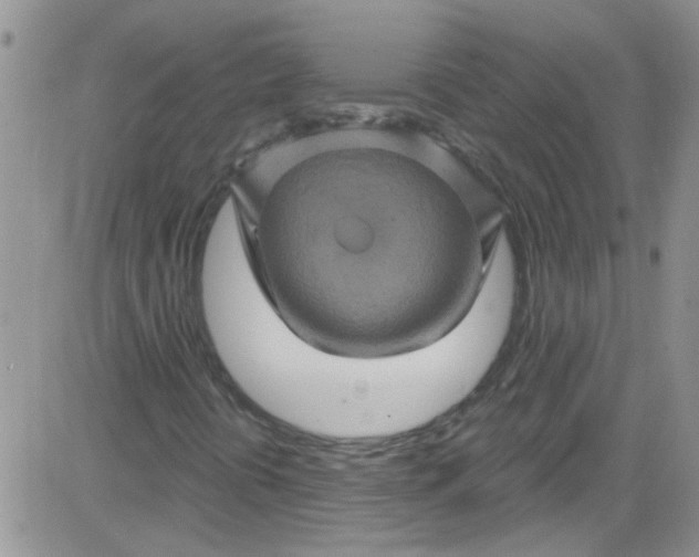 X0000084051394200703022203