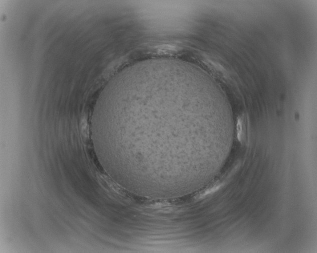 X0000084051395200703022203