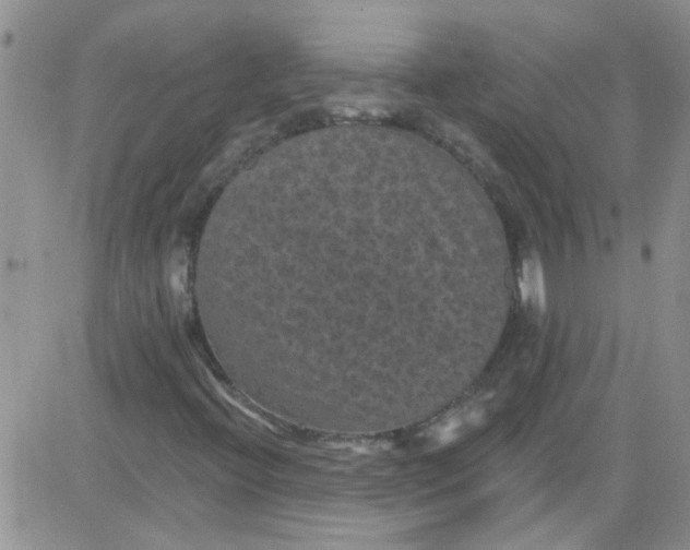 X0000084051396200703022203