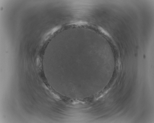 X0000084051398200703022203