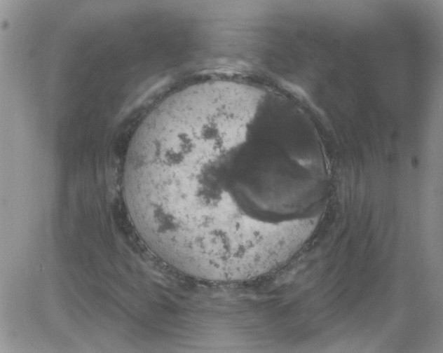 X0000084051399200703022203